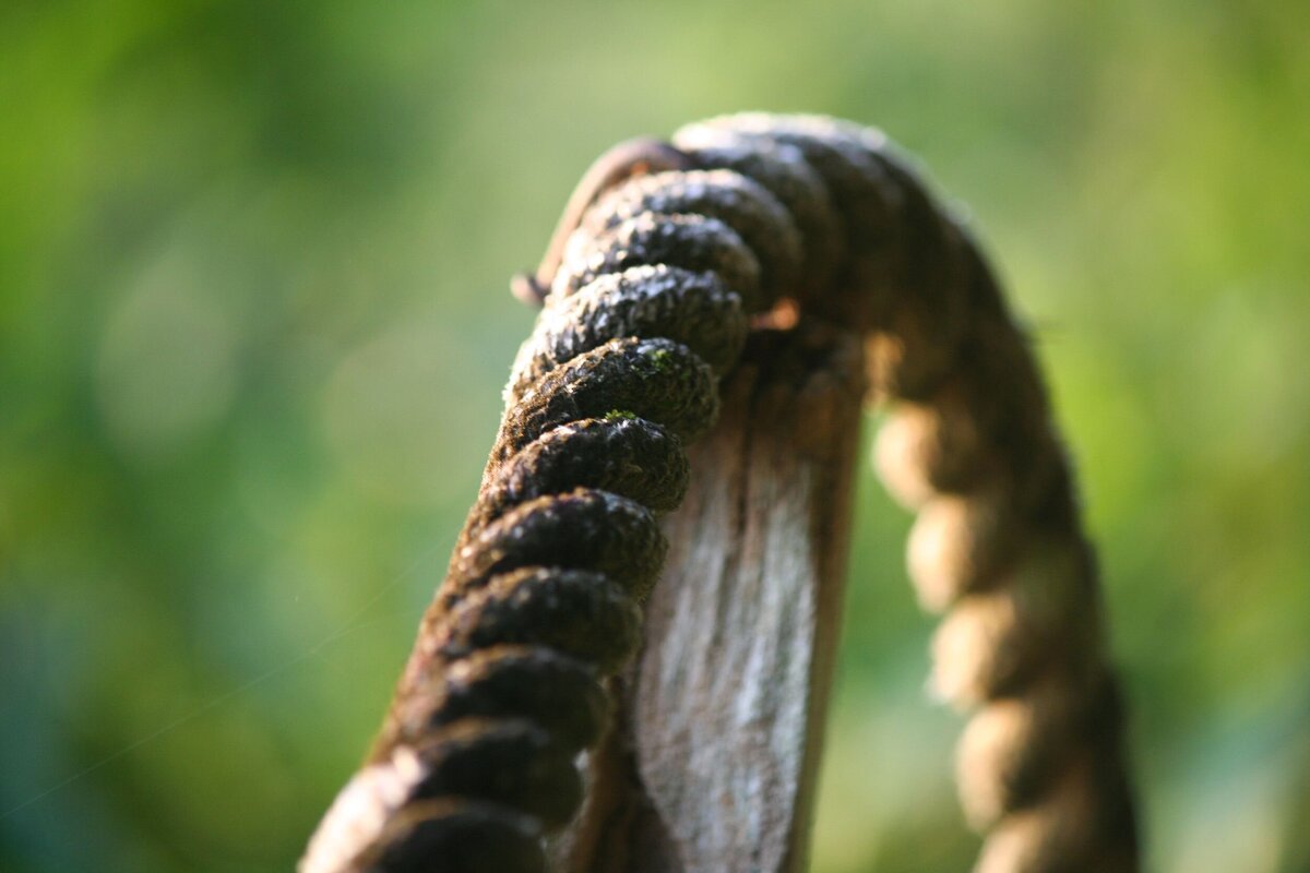 Rope-0ea3e9ee-2500