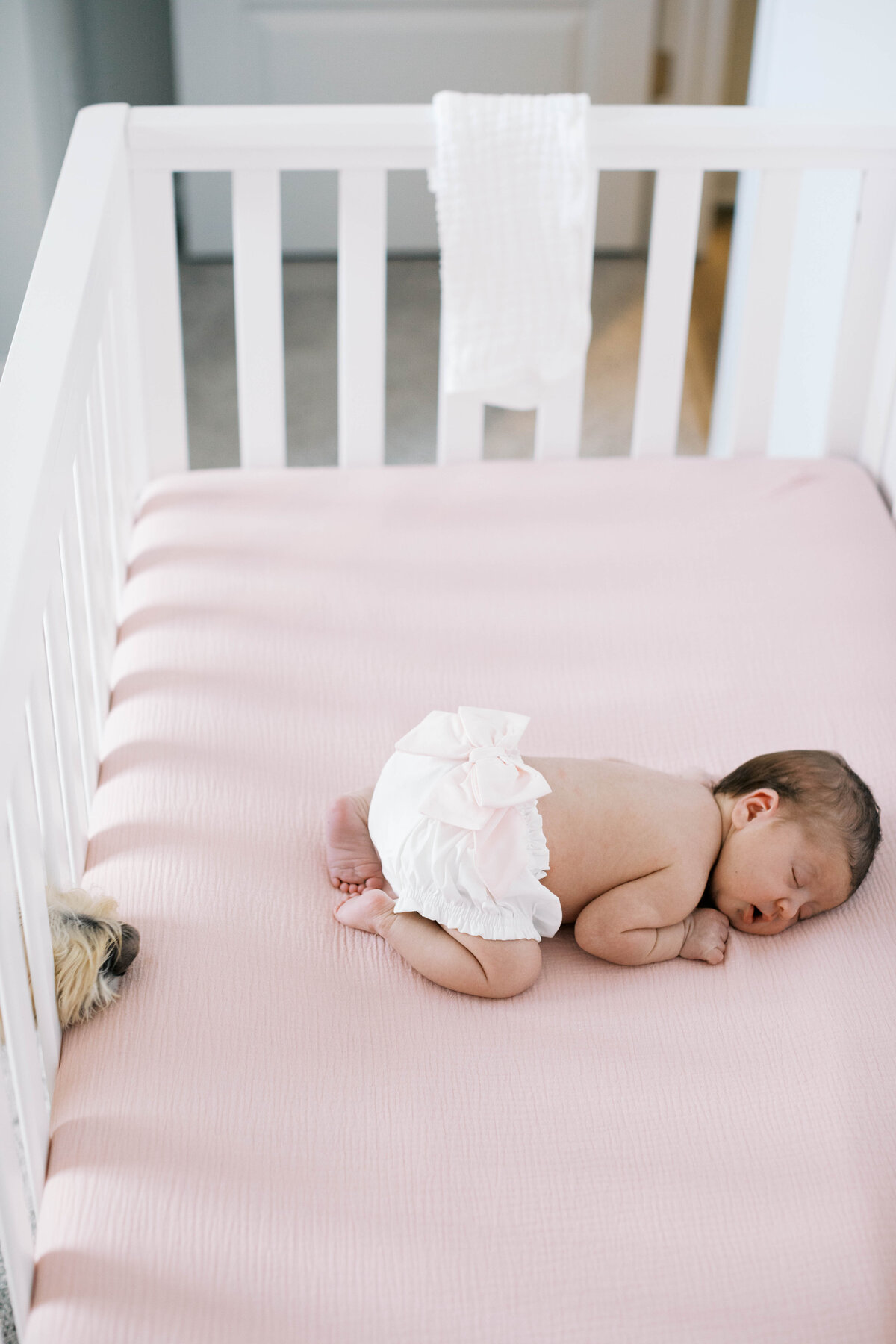 winston-salem-newborn-photographer40
