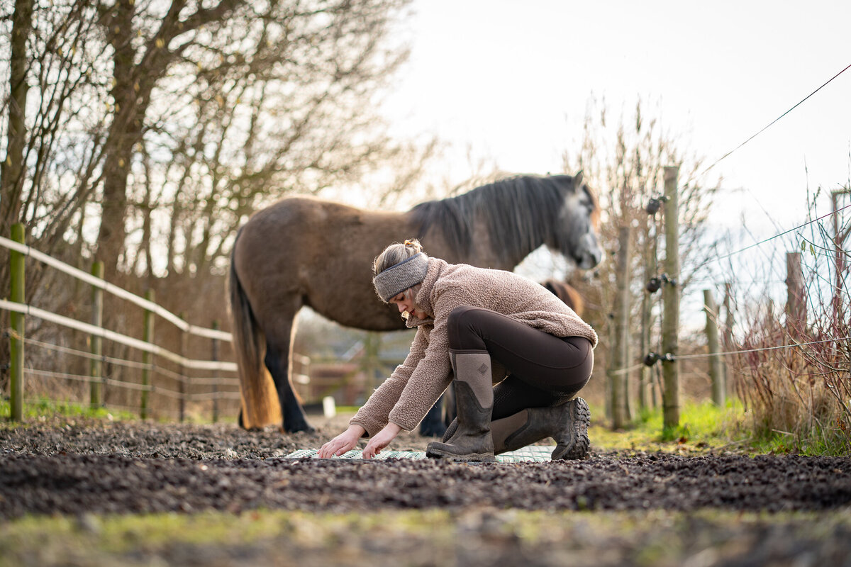 Paard&landschap_web-039