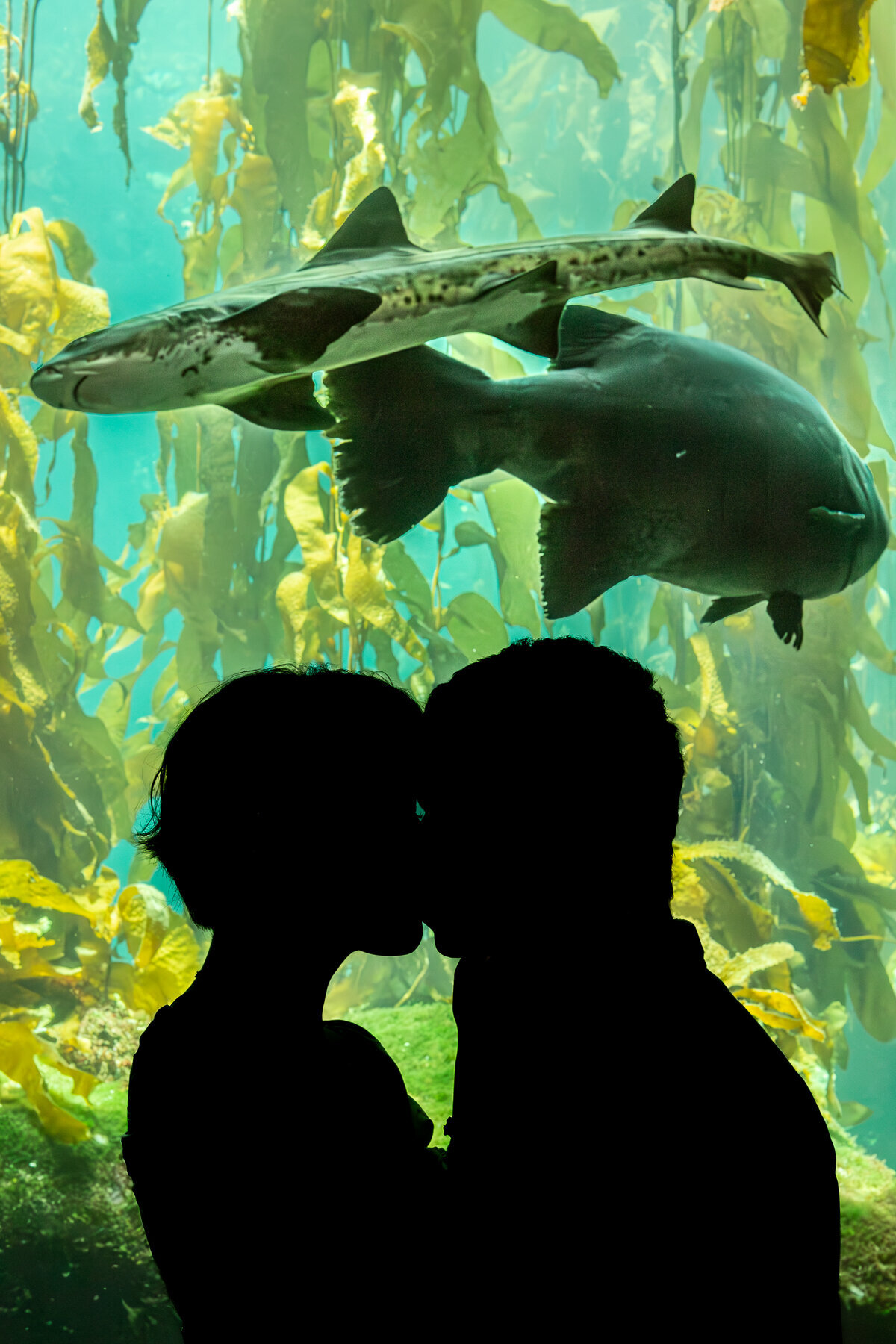 queer couple photography at aquarium