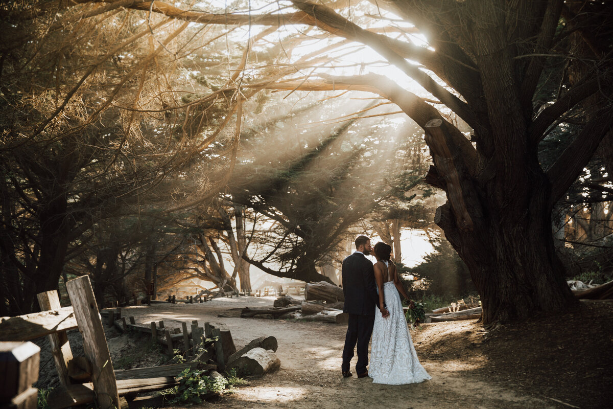 THEDELAURAS_BIGSUR_ELOPEMENT_LOMA_VISTA_GARDENS_CRYSTAL_MARK_0398