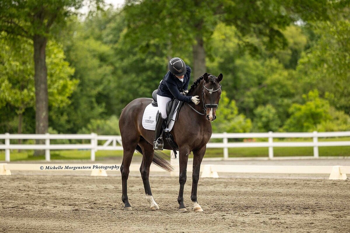 jessie-paine-jp-dressage-13