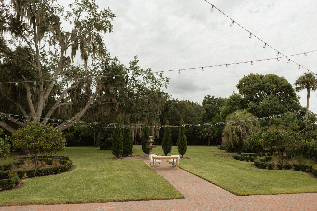 Intimate Florida wedding ceremony in the backyard of The Palm Mansion with soft florals and palm tree views