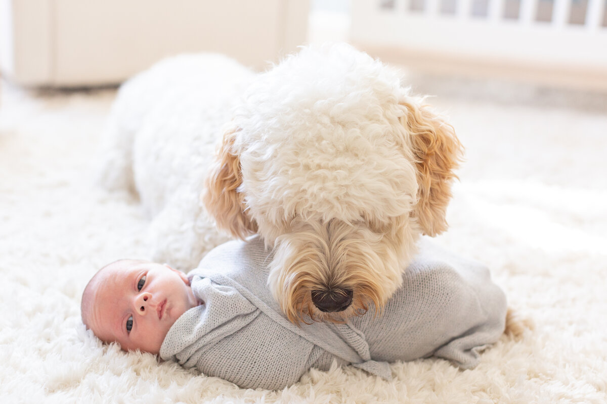 LauraKlacikPhotography-boggini-newborn-14