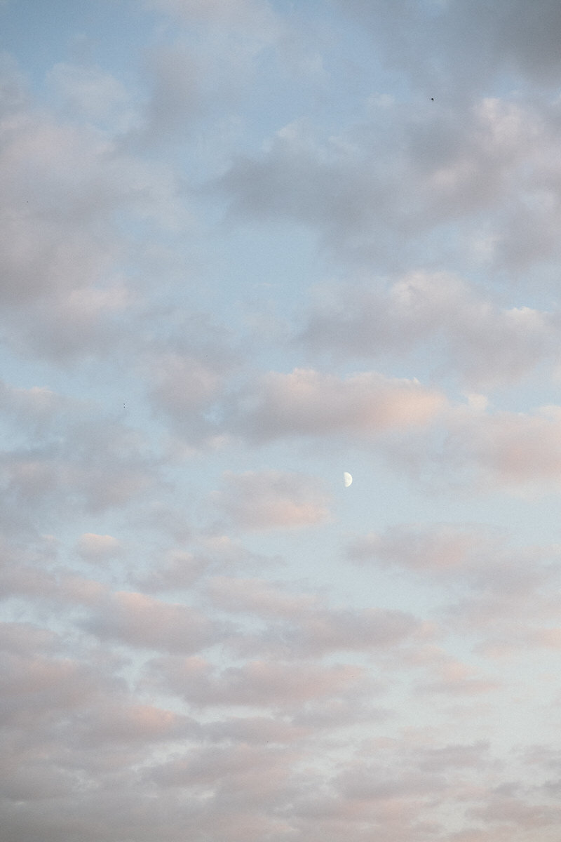 MD1_3321