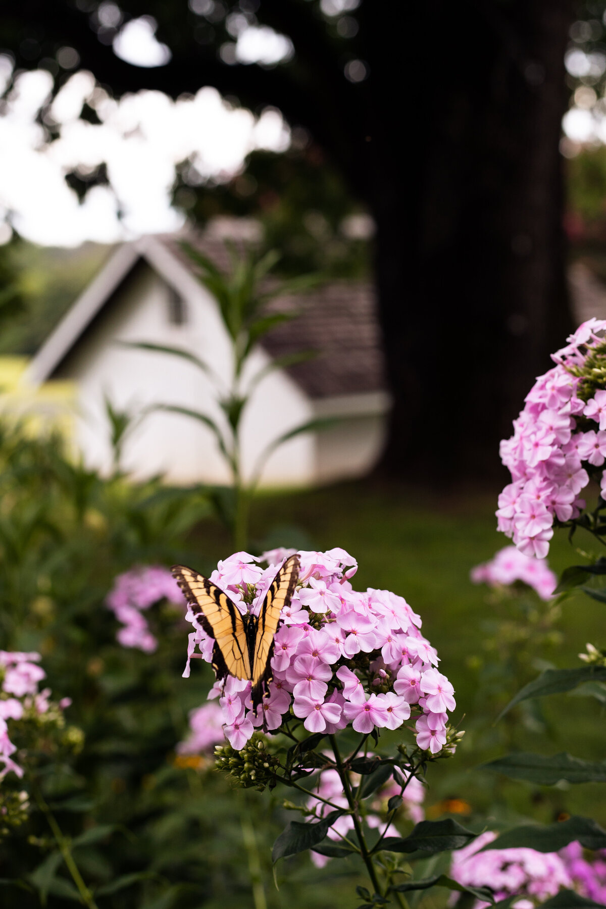 wedding photography in charlottesville virginia for fun and natural couples