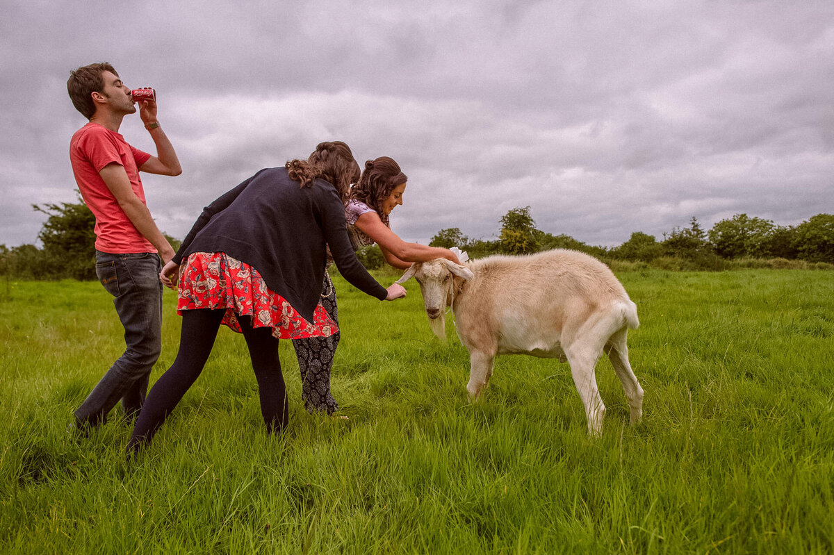 71 feed-the-wedding-goat