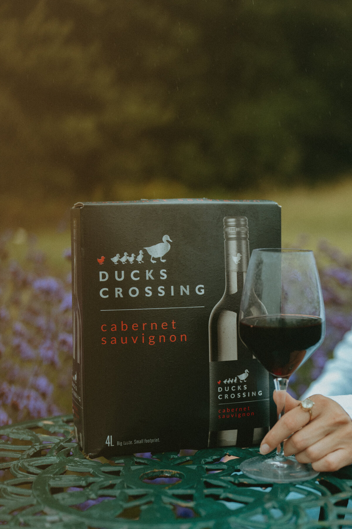 DucksCrossing-34