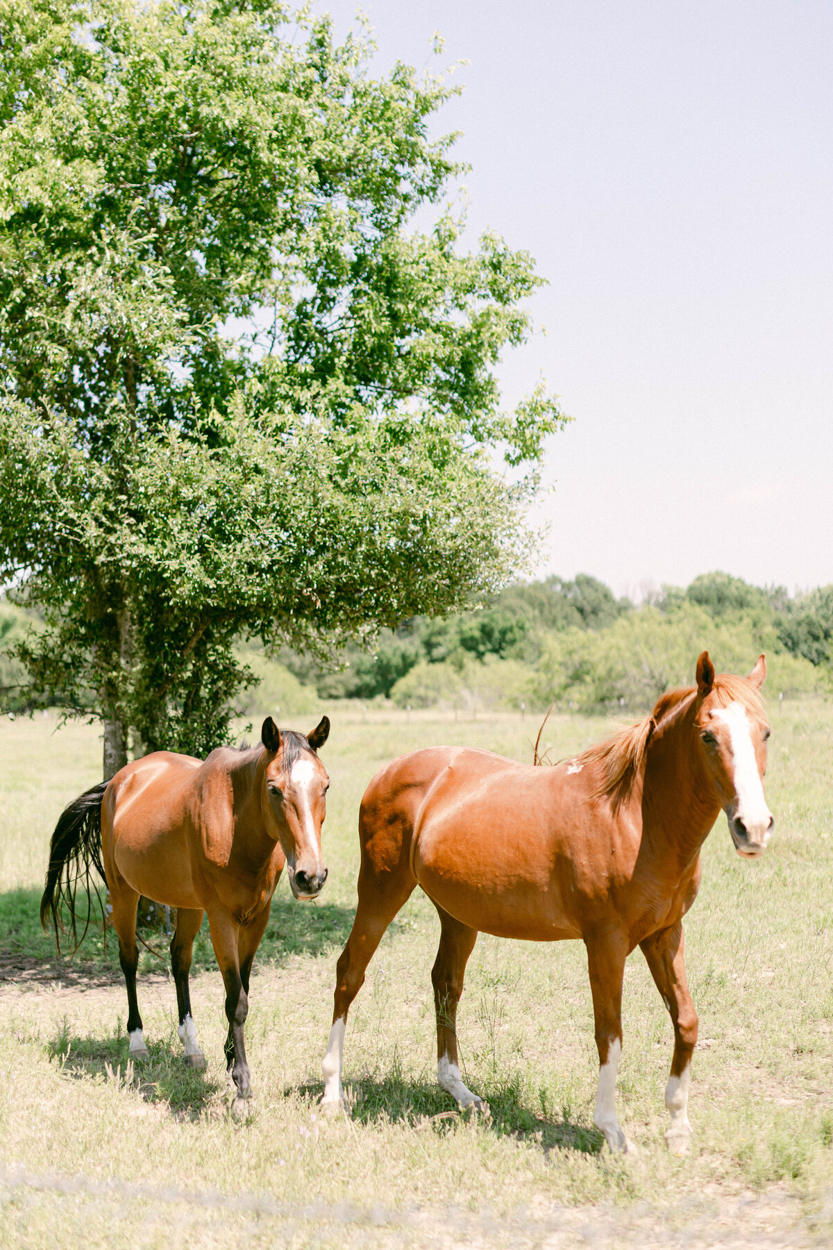 catie-coyle-photography-29