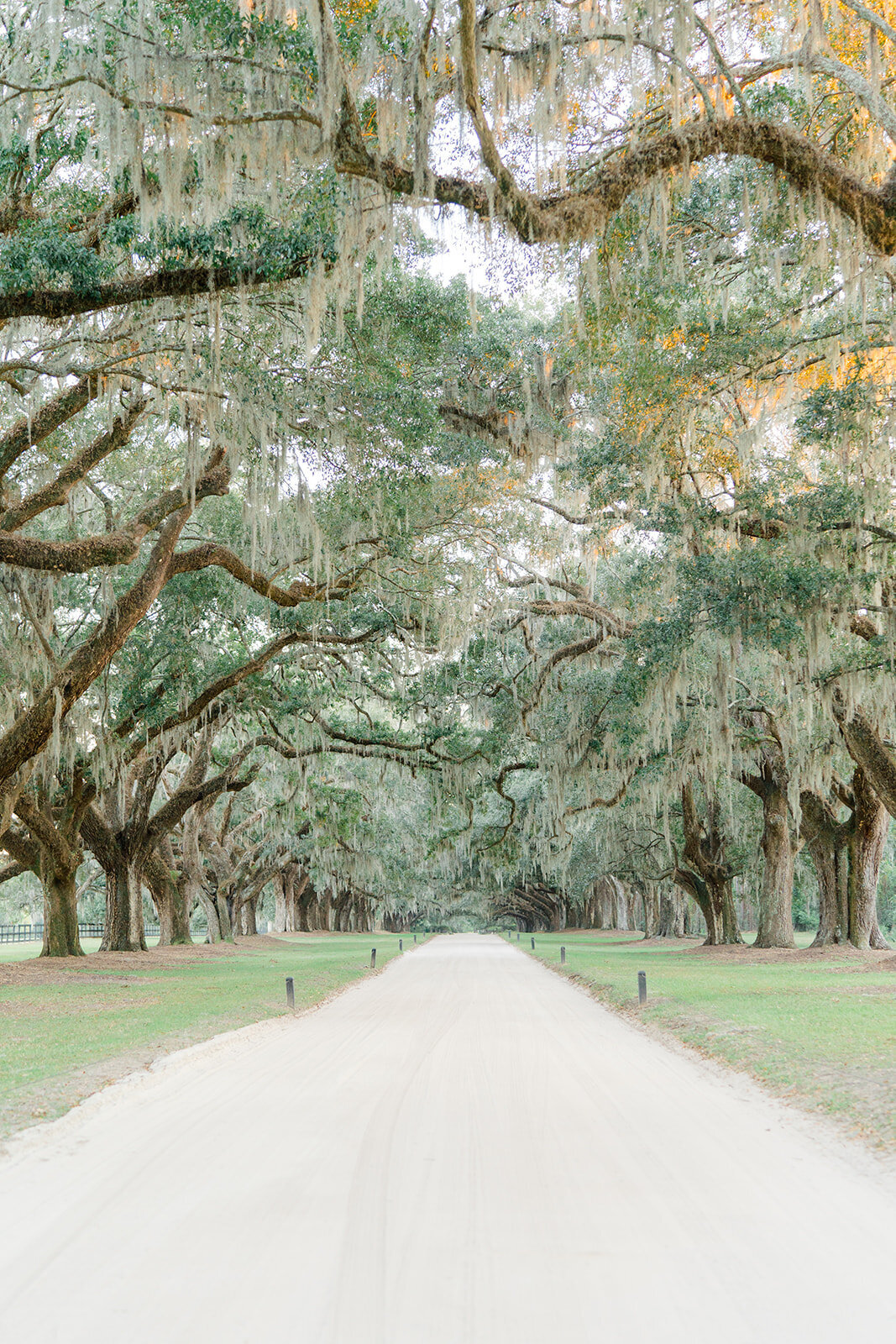 Charleston_Boone_Hall_Wedding__kailee_dimeglio_photography-1028