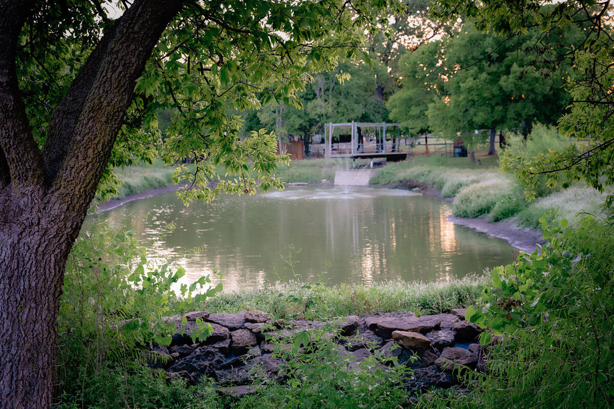 pondpic