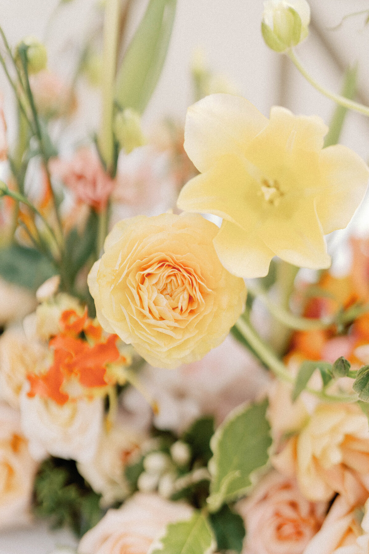 Chicago History Musem Wedding Editorial - Alison Mae PhotographyAMP05751