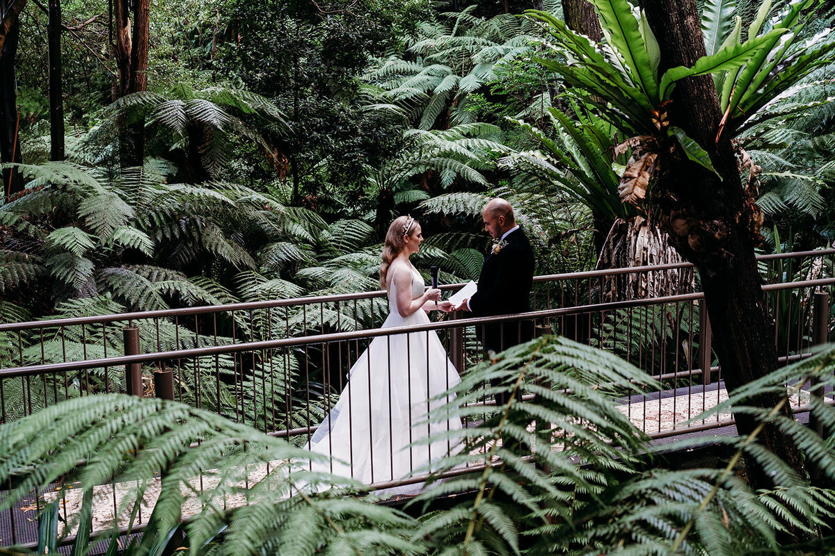 Margan_Photography_Australian_National_Botanic_Gardens-87