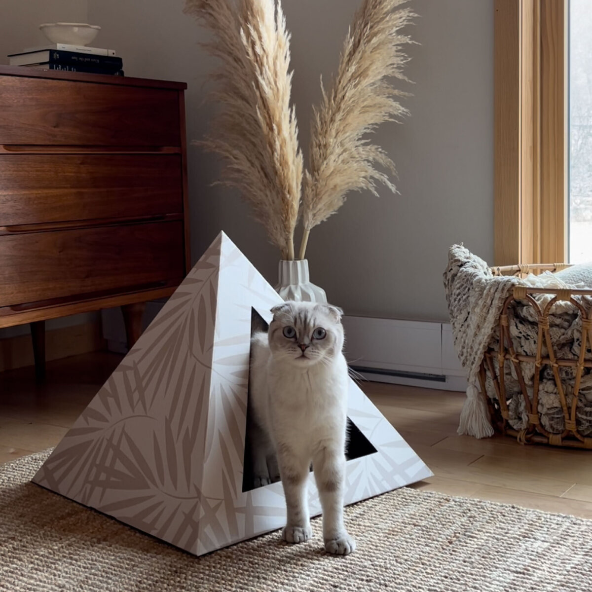 Rose-and-Palm-Studio_Portfolio_Kitty-Kardboard_Graphic-2