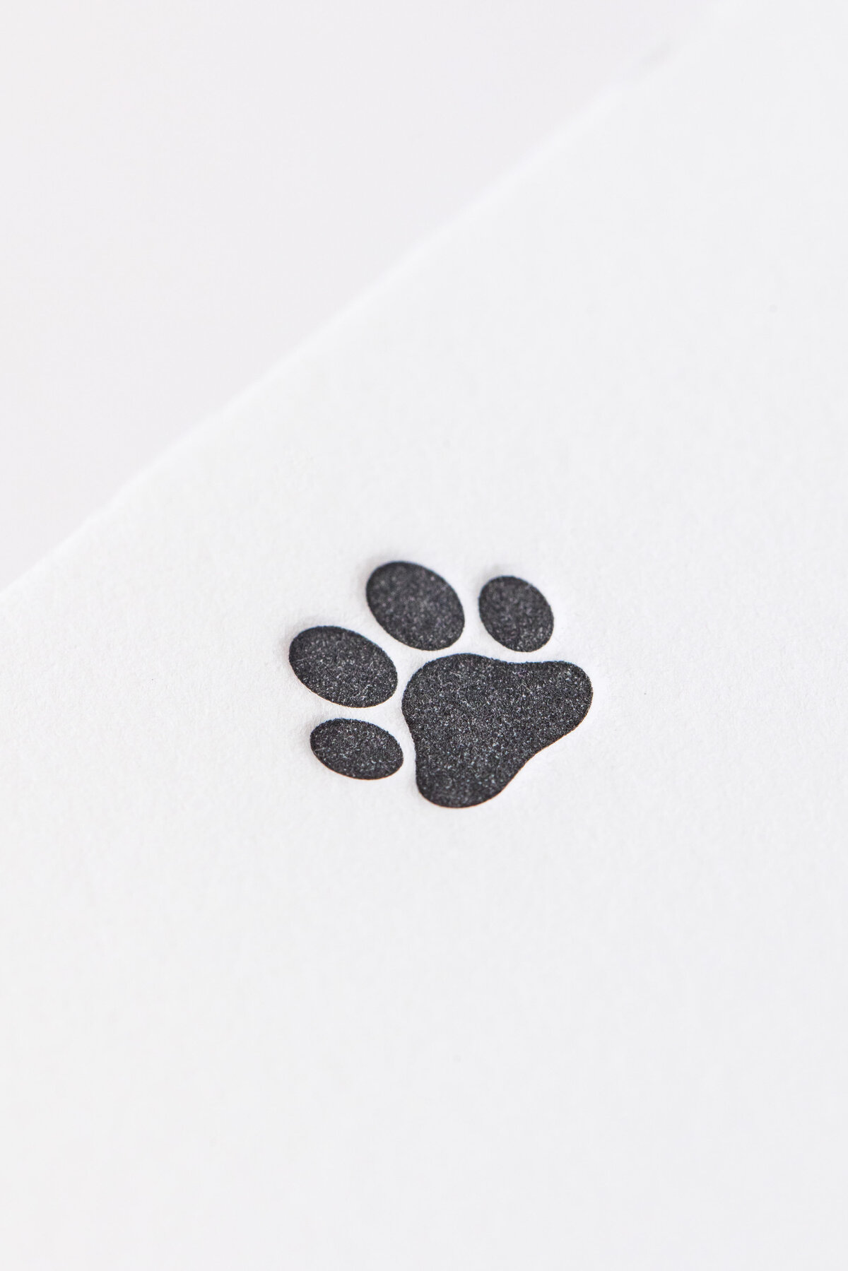 a close up of a paw print stamped on paper