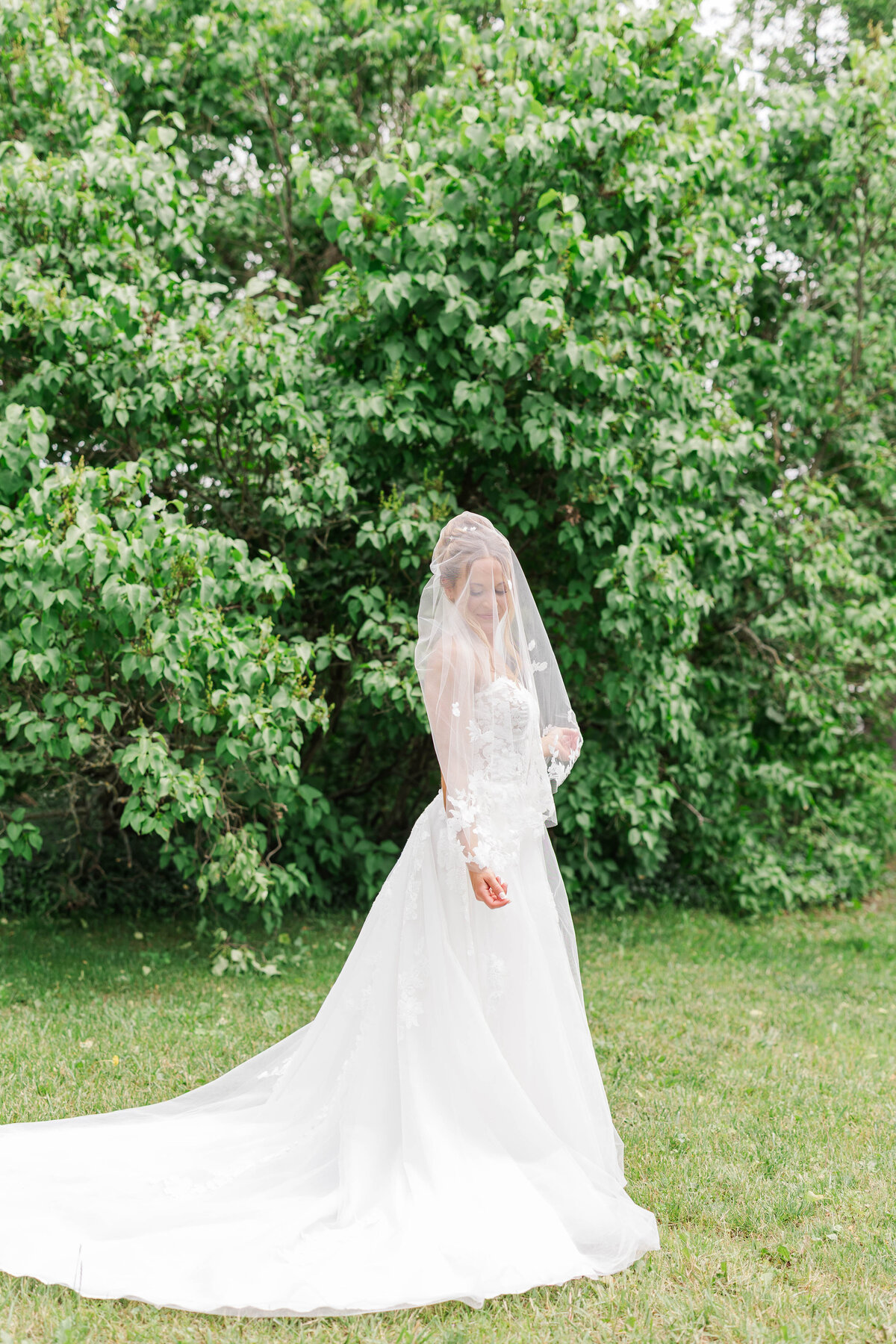 northern-michigan-wedding-photographer-bride-veil-dress-train