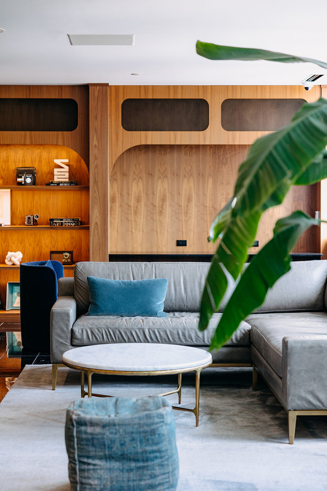 shelby-dubin-interiors10
