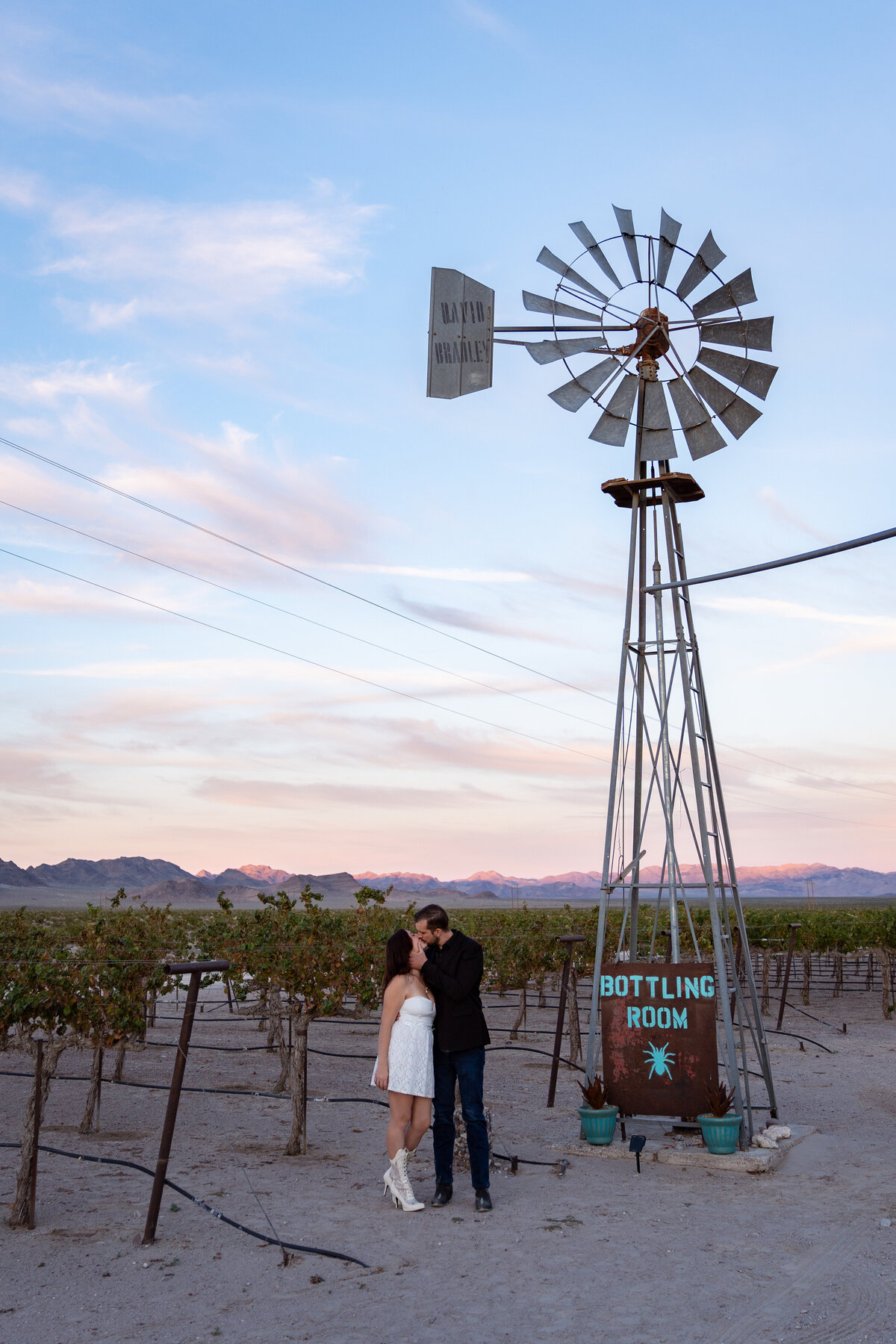 A couple kissing in front of a vineyard
