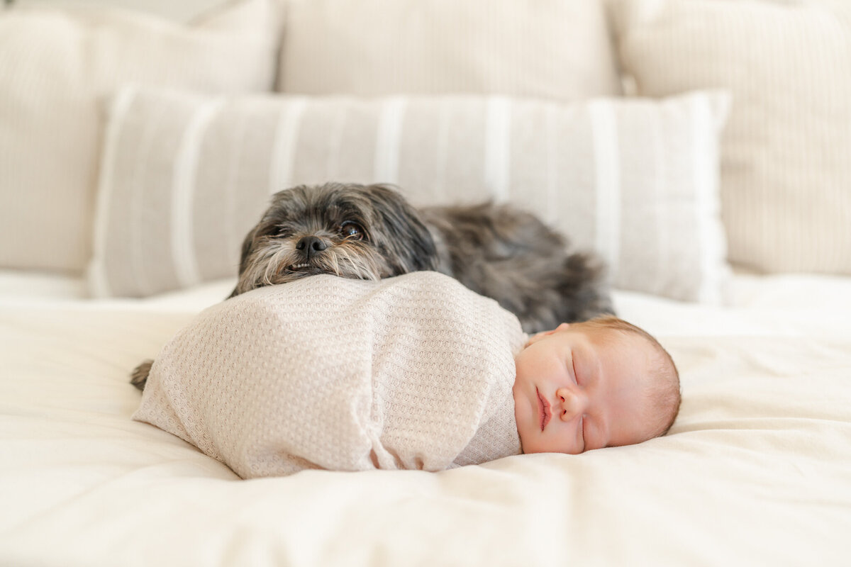 san-francisco-bay-area-newborn-photographer-80