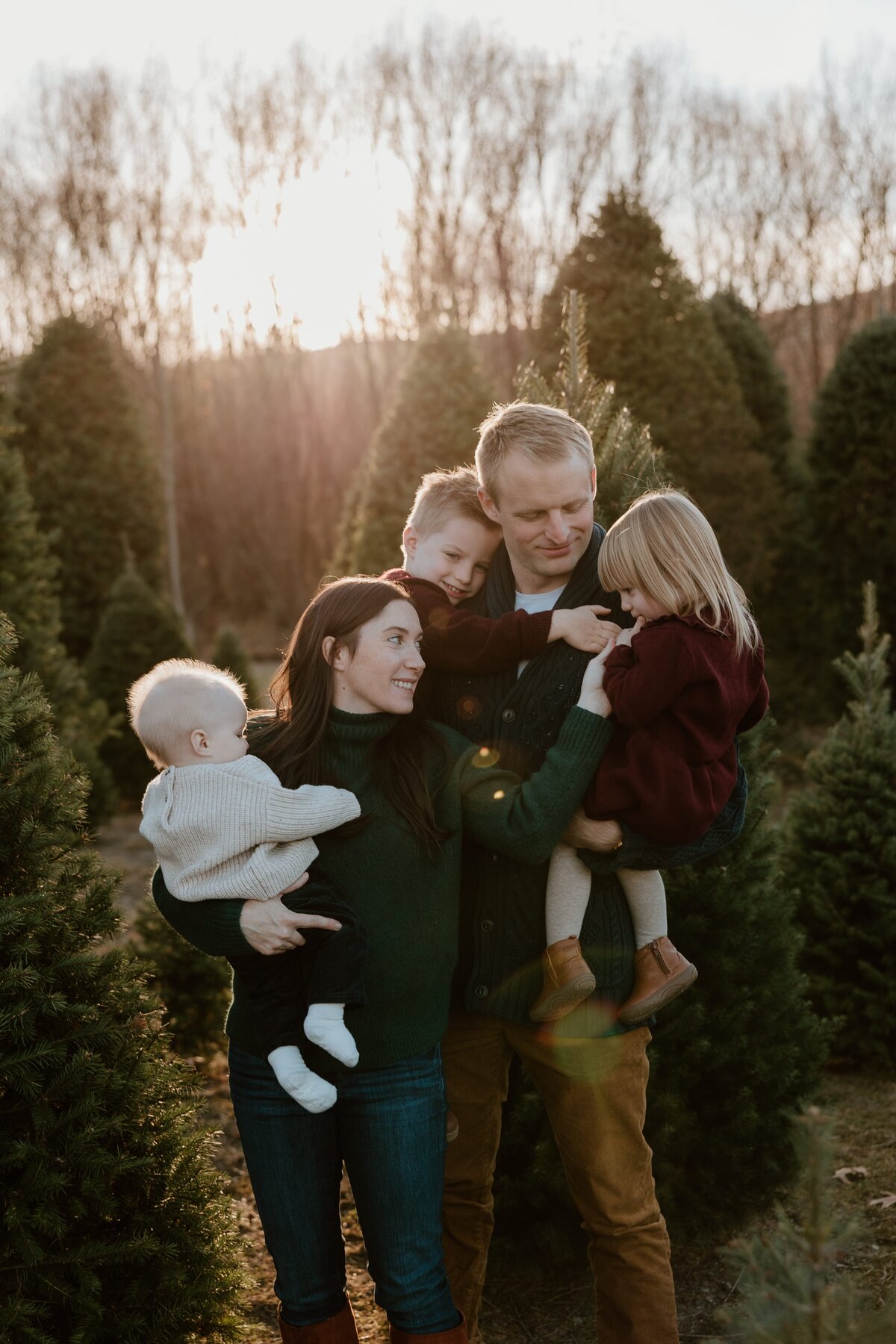 Family enjoying a warm, golden sunset moment among Christmas trees at Split Rail Nursery, with parents holding their young children close in a cozy, heartfelt embrace.