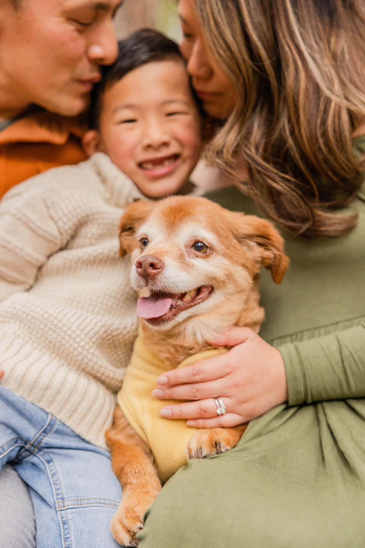 Fall Family Session at Redwood Grove Nature Preserve in Los Altos,CA