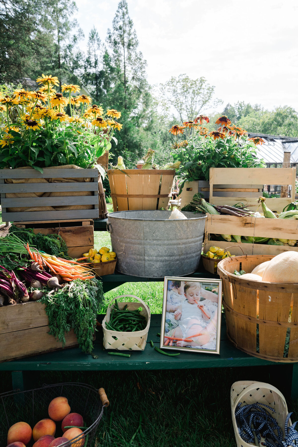 Luxury-Special-Event-Planner-Childrens-Birthday-Tented-Party0244