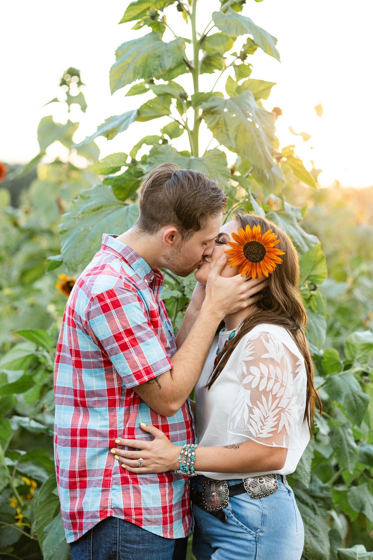 Colorado-sunflower-field-photography-41