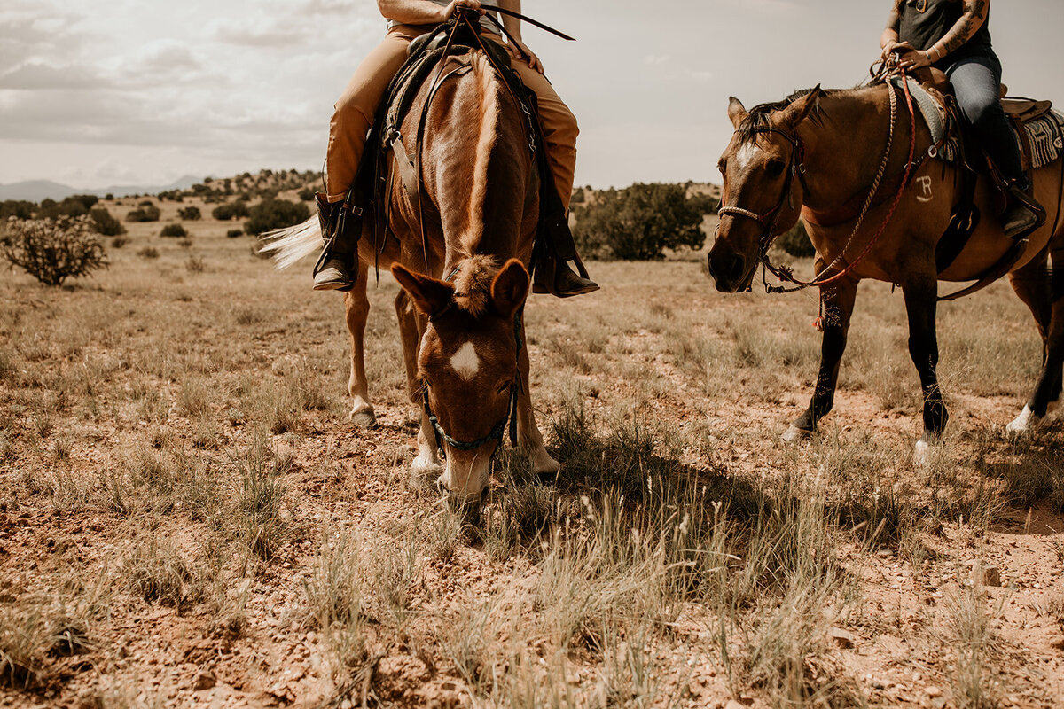 santa-fe-new-mexico-horseback-riding-engagement-photos (14)