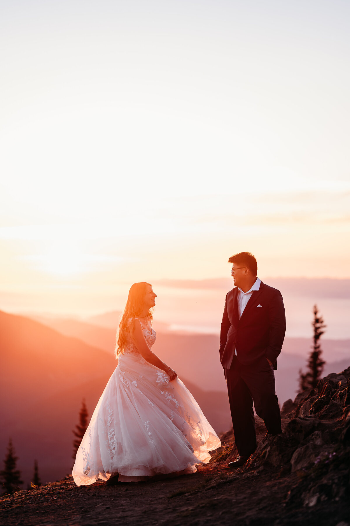 Olympic National Park Washington State Hurricane Ridge Wedding and Elopement Photographer