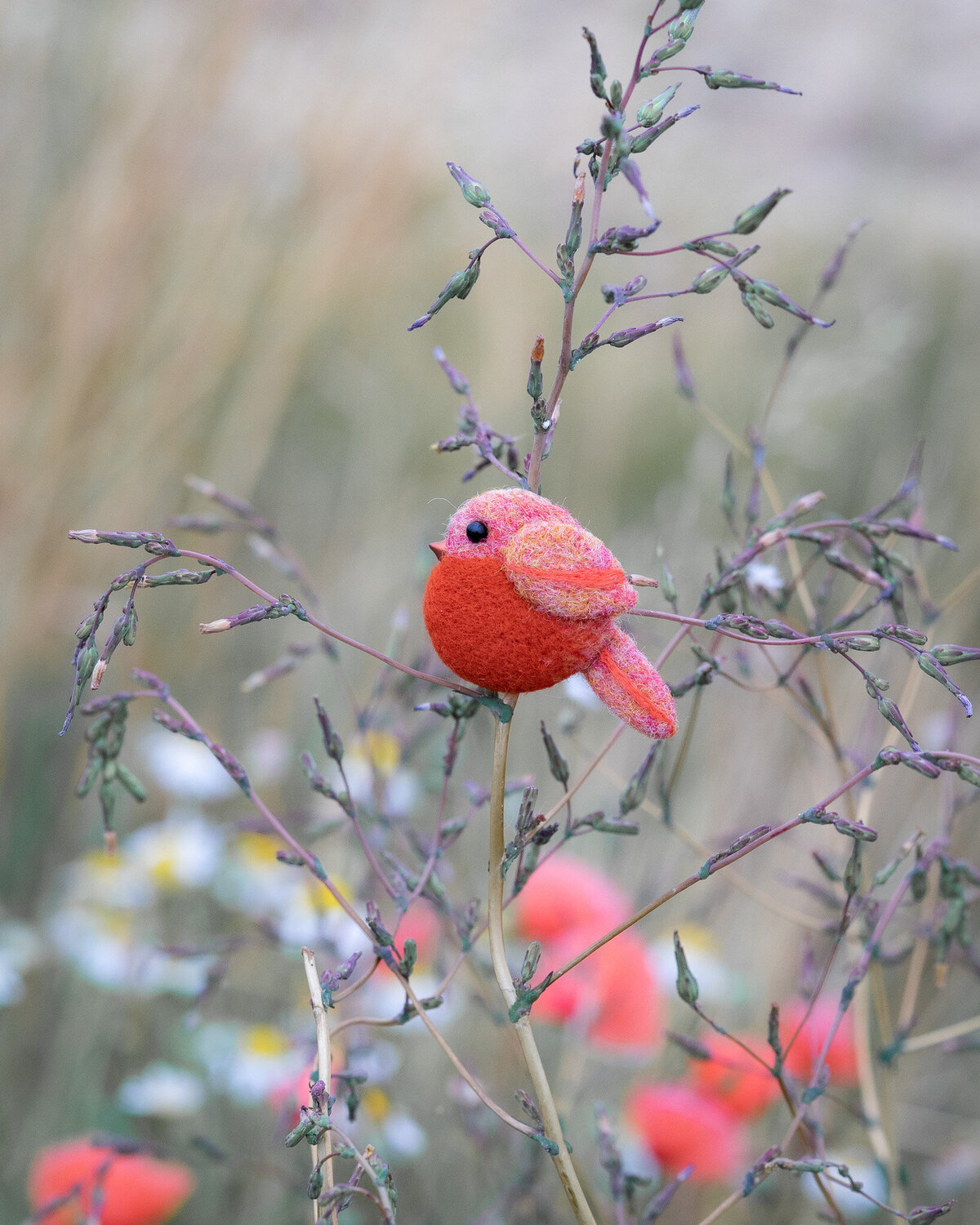 plstěná brož ptáček needlefelted brooch bird