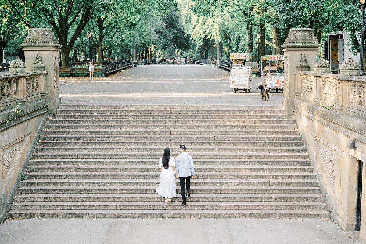 Central_Park_Engagement_Ronnie_and_Jean_MTA-304