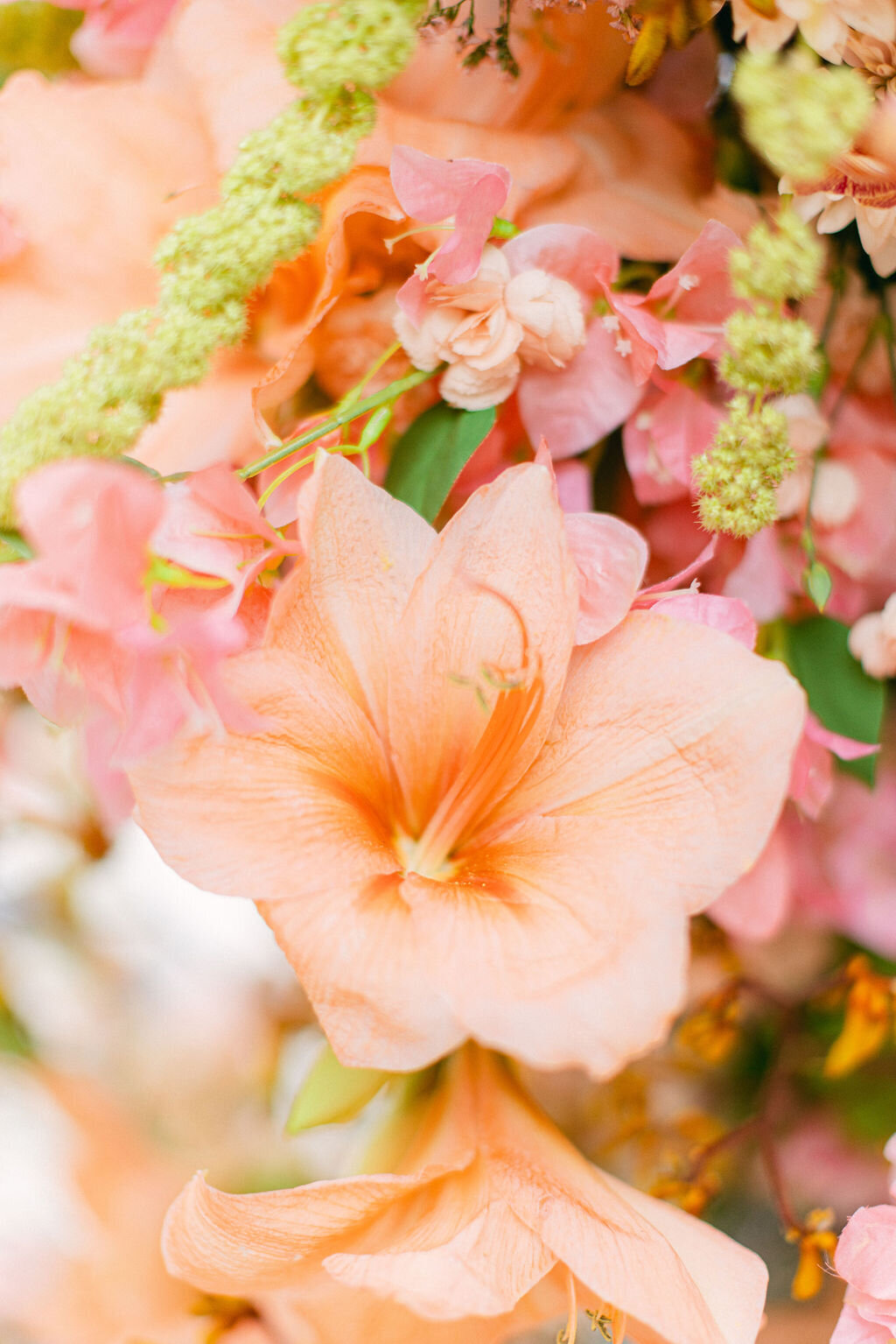 ChelseyBlackPhotographyVizcayaWeddingMiamiFlorida-9647-2