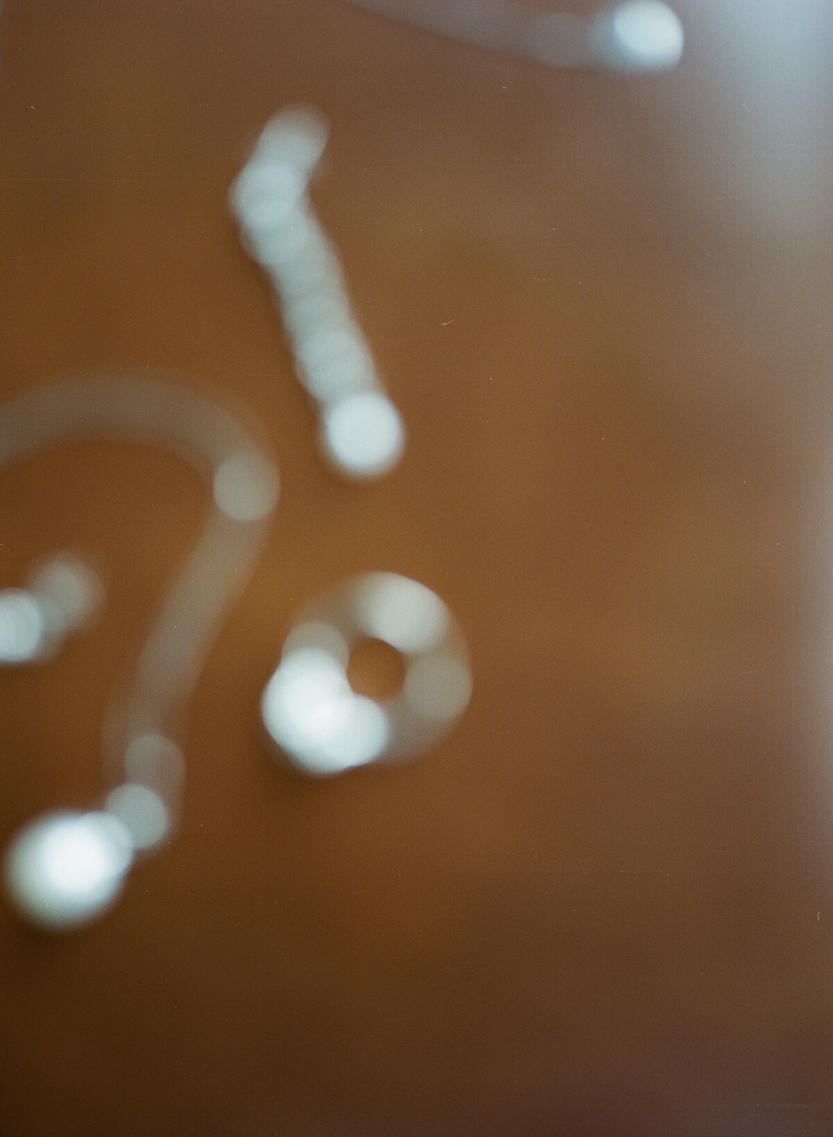 2024_EIP_Davern_Film_038