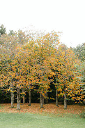 Shannon+Andrew-Wedding-Stevens-Estate-1145_websize