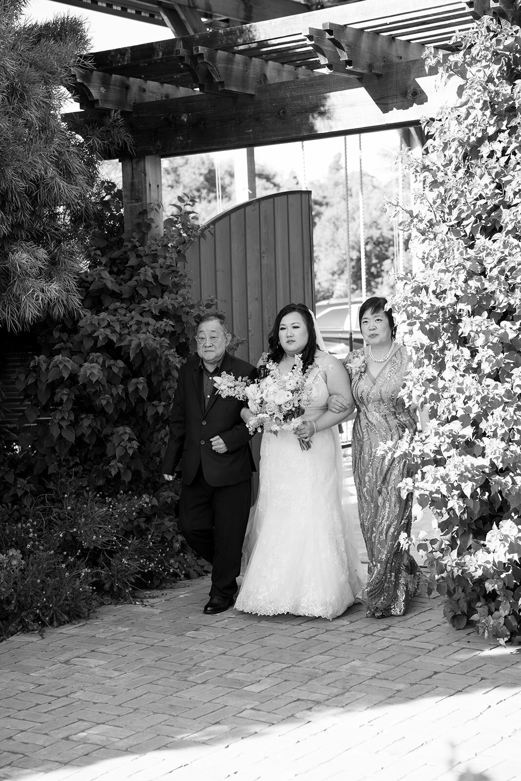DSC_3613-Edit-2
