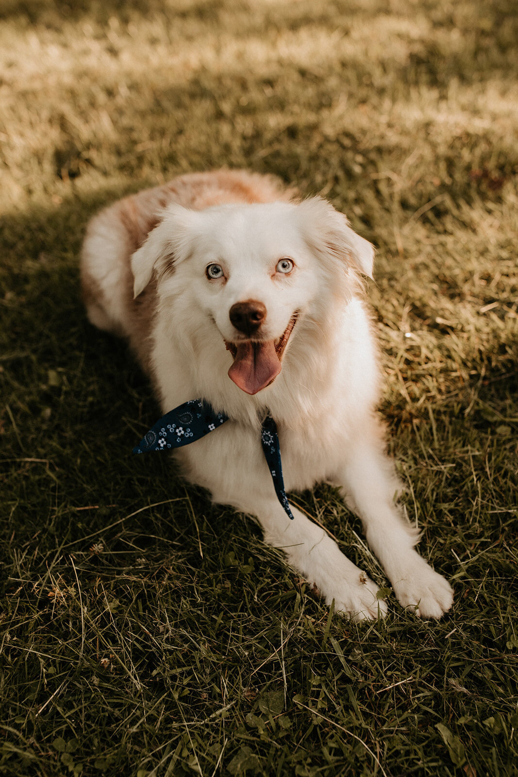 Emma_Phil_Engagement_Session_6.10.21-223