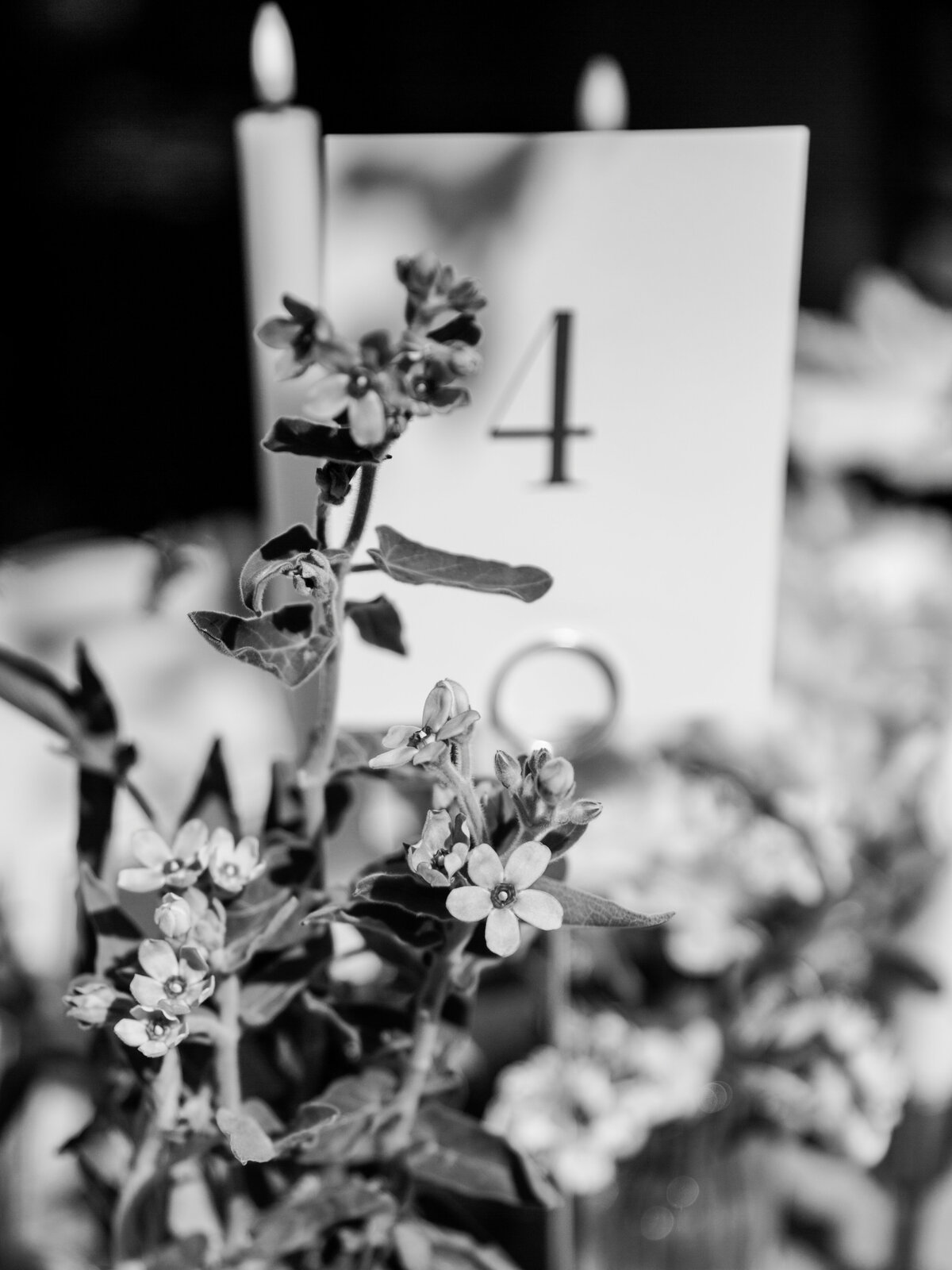 J+R_Liriodendron Mansion_Luxury_Wedding_Photo_Skyler Jordan Photography-73