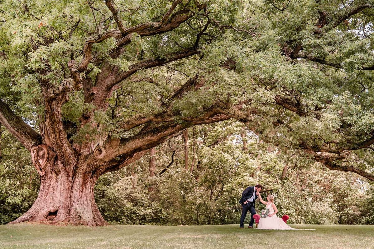 Groom kisses brides hand  underneath sprawling oak tree while bride sits on tufted bench