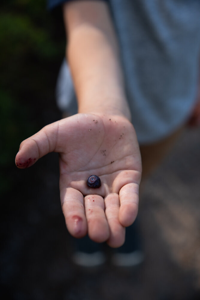 Boy holding a blueberry lifestyle documentary photography Tacoma