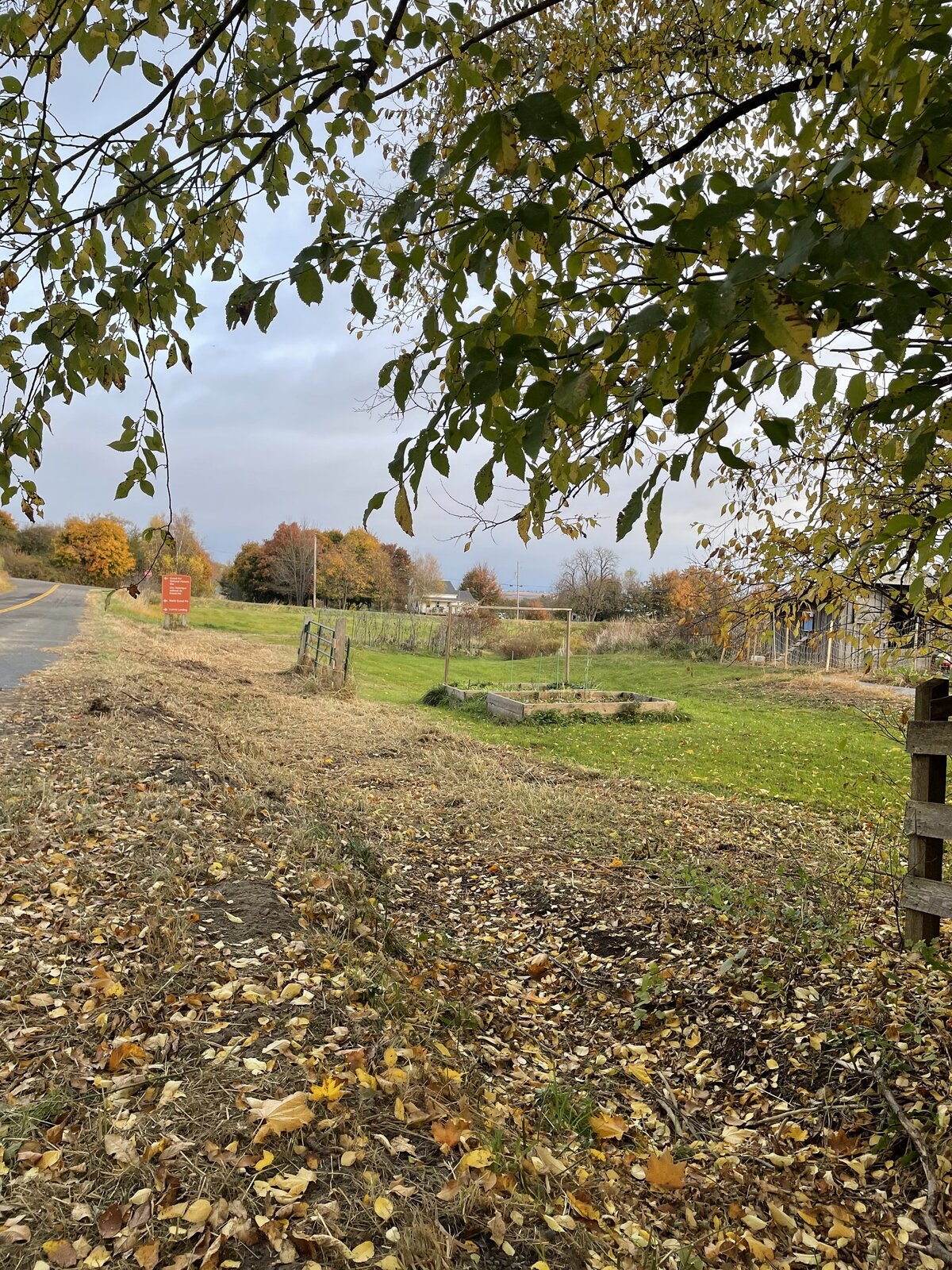 Ground Down Land Management - Excavation Services - Nova Scotia - Property Access - Trail Systems - Driveways - Patios - Landscaping - Mulching