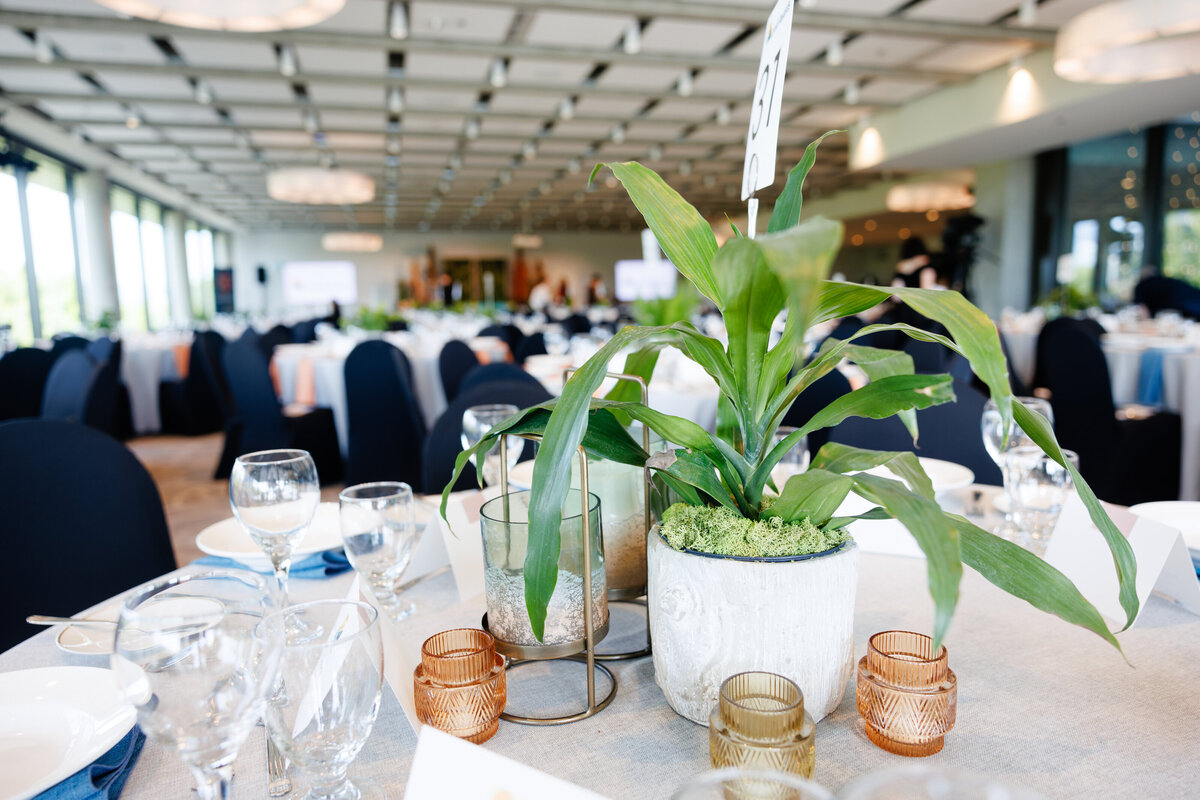 LandAwards2024_bySRace_8439