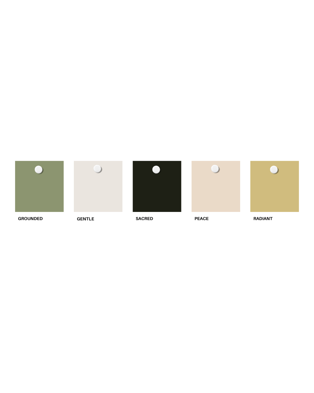 Soft, serene and grounded color palette for a modern yoga studio in Phoenix.