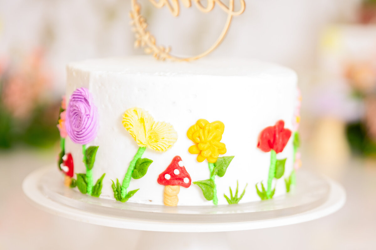 Cassie-And-Frances-Children-Cakesmash-Photographer-Columbia-St.Louis