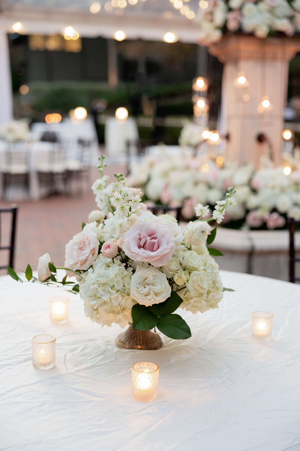 Emily Green Creative2Y5A9580