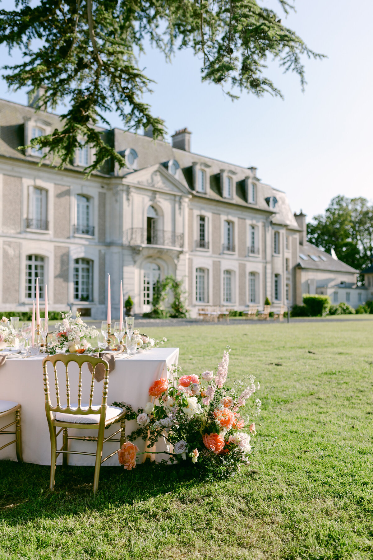 will-valeria-des-monts-9540