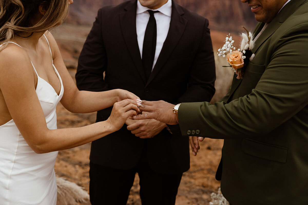 ZionSnowCanyon-dallinhassard-2644