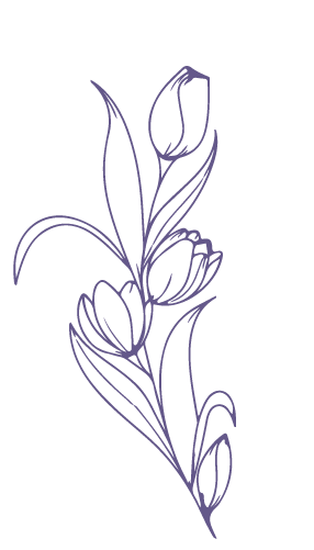 Tulip Purple Offset