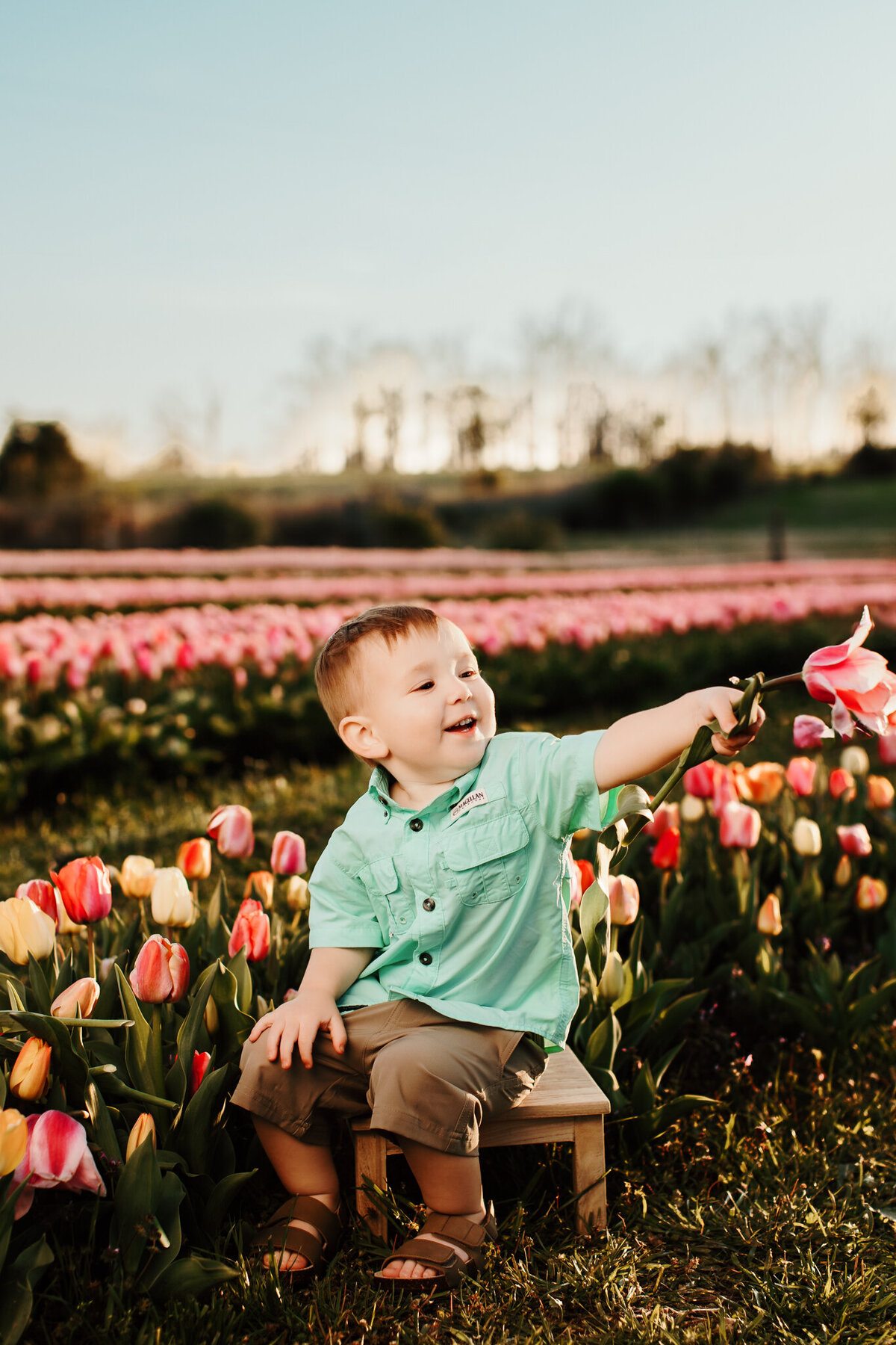 NWA childrens photographer, Northwest Arkansas best kids photography, Children's portraits near me, professional kids photos, Children's photography packages, Northwest Arkansas children's photographer