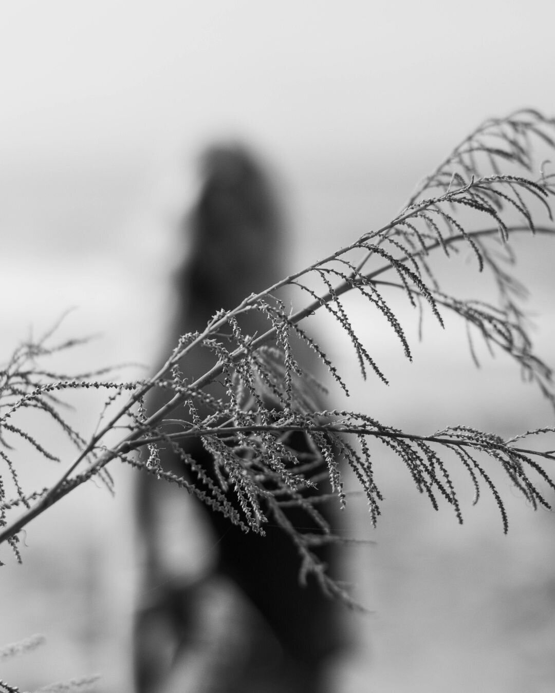 Belleza Sol - Kat IG (9)