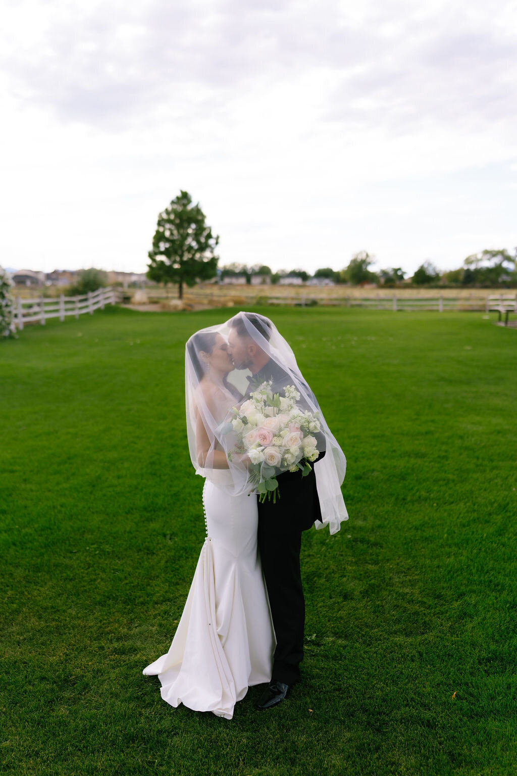 Couple under the veil on the lawn